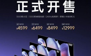 小米MiniPro（探索未来出行方式的新选择）