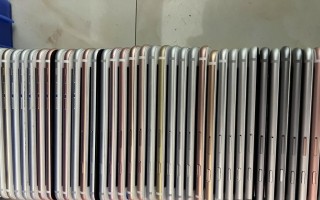 苹果6sPlus两网性能全面解析（了解苹果6sPlus支持的两网功能及其影响）