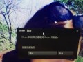 解决电脑上Steam显示致命错误的方法（轻松应对Steam致命错误，让游戏畅玩无阻）