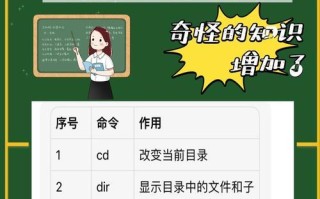 掌握CMD命令窗口的基础知识与应用技巧（从入门到精通，全面了解CMD命令窗口的使用方法）