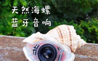 手工制作电脑音响外壳教程（DIY音响外壳制作，打造专属个性音响）