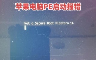 电脑PE错误的原因和解决方法（探究电脑PE错误的成因及有效解决办法）