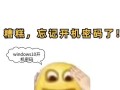 解决HP电脑输入密码错误的问题（提高密码准确性，避免账户被盗）
