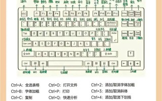 新电脑操作教程（从购买到上手，让你成为电脑操作高手）