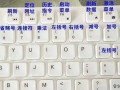 电脑初学者入门教程（让你快速掌握电脑技能的实用指南）