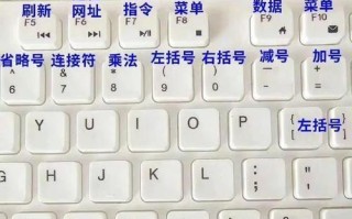电脑初学者入门教程（让你快速掌握电脑技能的实用指南）