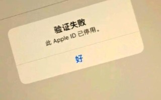 如何解决电脑苹果ID验证错误问题？（有效应对和排除苹果ID验证错误的方法）