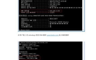 DNS地址配置错误导致网络连接故障（解析错误引发的网络连接问题及解决方法）