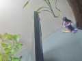 光影精灵8电脑教程（掌握全屏操作技巧，打造完美视觉体验）