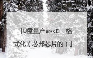 芯邦2093量产工具教程（一步步学习芯邦2093量产工具，成为芯片量产专家）