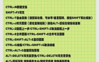 以PS调整图层大小快捷键设置技巧（提高工作效率的关键方法）