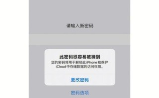 电脑密码错误提示（密码错误次数超过限制，如何保护您的个人数据？）