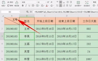 新手如何制作Excel表格（简单易学的Excel表格制作步骤）