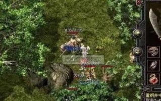 AEM电脑刷写程序教程（详细解析AEM电脑刷写程序的步骤及技巧）