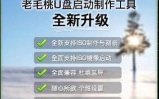 老毛桃修复系统教程（恢复系统、修复故障、提高性能，老毛桃修复系统教程帮你一步到位）