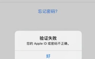 解析电脑特定程序设置密码错误的原因与解决方法（电脑程序密码错误的常见问题及解决方案）