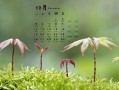 轻松学习如何重装台式电脑的桌面（一步步教你重装桌面，让你的电脑焕然一新）
