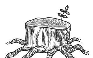 树桩电脑手绘教程（简单易学的树桩电脑手绘技巧）