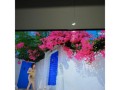创维40E3500（高清画质、智能操作，创维40E3500助您畅享视听盛宴）