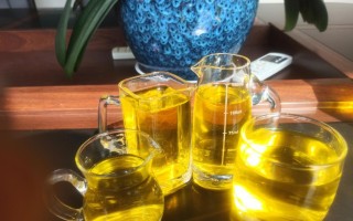 新能源油品的发展与应用（解析新能源油品的特点及未来趋势）