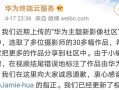 电脑打开华为商城错误的解决方法（遇到华为商城无法正常打开的问题？这里有解决方案！）