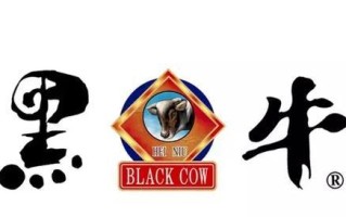 九江维信诺（从行业领先到用户首选，九江维信诺为您提供全方位的维修解决方案）