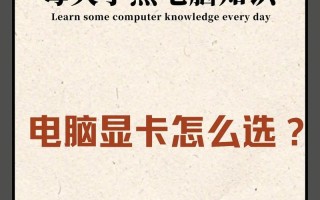 电脑显卡入坑指南（从小白到专家，一步步教你选择和安装显卡）