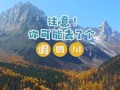 豌豆旅游-探索新的旅行方式（豌豆旅游的便利性与独特魅力）
