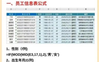 会计电脑基础操作教程（学习会计电脑基础操作的关键技巧）