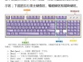 提升效率，掌握电脑键盘盲打的技巧（从菜鸟到高手，教你如何快速盲打）