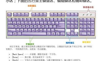 提升效率，掌握电脑键盘盲打的技巧（从菜鸟到高手，教你如何快速盲打）