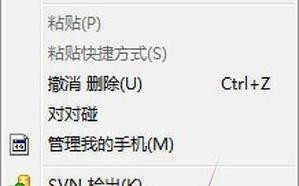 解读电脑屏保显示未知错误（探索错误原因与解决方法）