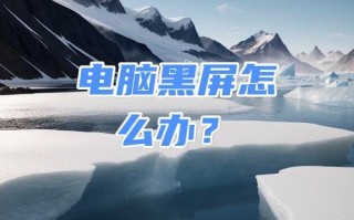 电脑开机后显示器黑屏怎么办（解决电脑开机后显示器黑屏问题的有效方法）