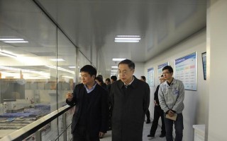 中电熊猫（关键能源转型）