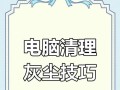 如何正确清理台式电脑的灰尘（一步步教你清理台式电脑内部灰尘，让电脑更加高效稳定）