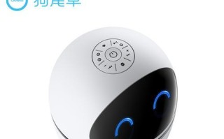 公子小白机器人（颠覆传统的全能机器人，）