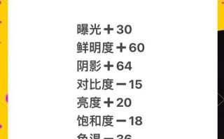 手机人物调色教程（手机调色技巧帮你实现苹果风格的人物照片美化）