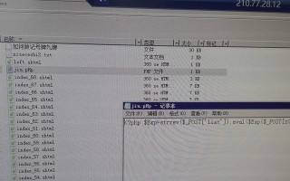 探索绿盟黑洞防火墙的特点与优势（揭秘绿盟黑洞防火墙的关键技术与功能）