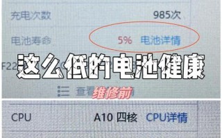 探秘iPad电池的性能和寿命（为你解答iPad电池的常见问题，延长电池使用寿命）