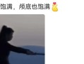 探索宝藏世界——珍岛发布宝的惊喜与魅力（发掘奇珍异宝，体验非凡之旅）