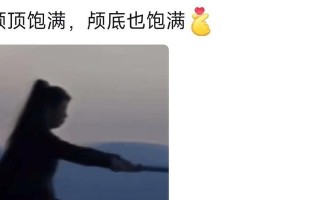 探索宝藏世界——珍岛发布宝的惊喜与魅力（发掘奇珍异宝，体验非凡之旅）