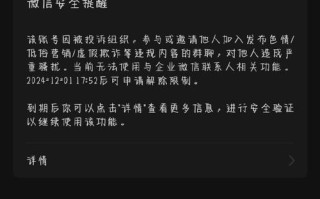 电脑企业微信出现错误的原因及解决方法（解决电脑企业微信错误的有效途径）