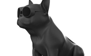 揭秘Jarre斗牛犬音响（颠覆传统音响市场，带来全新的音乐体验）