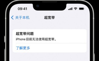 电脑蜂窝助手使用教程（轻松掌握电脑蜂窝助手的使用技巧）