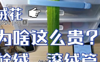 用电脑实现长篇文字滚屏教程的技巧与方法（电脑长篇文字滚屏教程，让阅读更便捷）