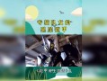 铠甲勇士电脑剪辑教程（学习铠甲勇士电脑剪辑，成为剪辑大师！）
