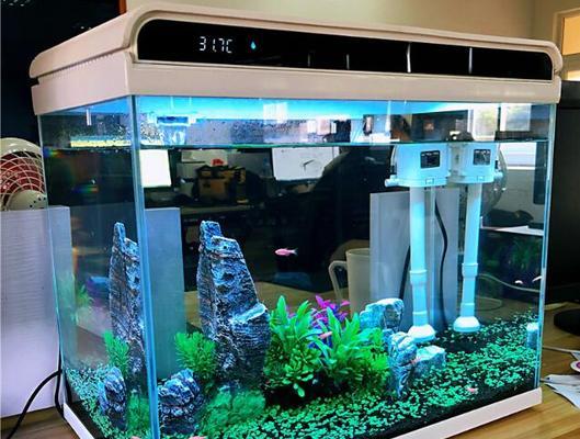 水族箱空着的影响及其应对之道（探索水族箱长期空置的风险，寻找有效的保养方法）-第3张图片-数科之翼