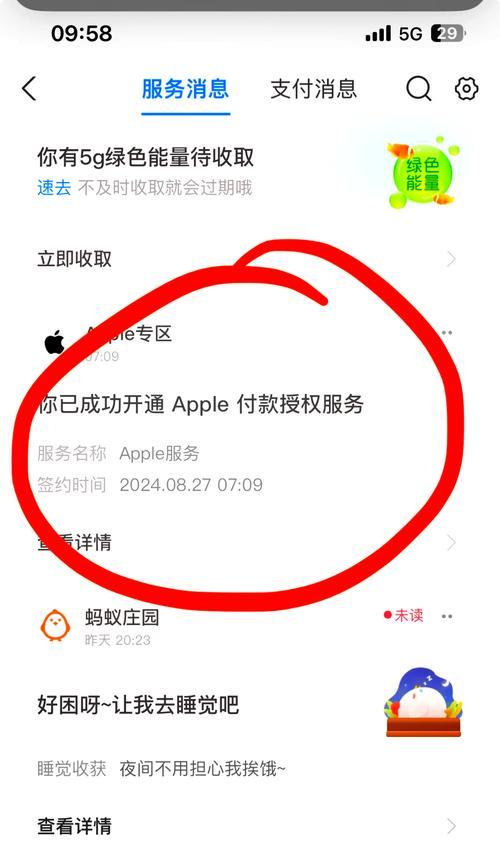 苹果ID泄露的危害与应对措施（保护个人隐私安全，重视苹果ID信息保护）-第1张图片-数科之翼
