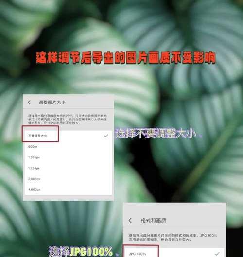 手机修图，让你的照片更出彩（简单操作，高级效果，手机修图软件让你的照片瞬间变美）-第3张图片-数科之翼