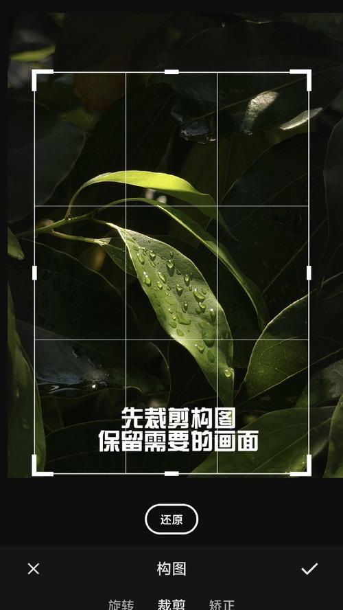 手机修图，让你的照片更出彩（简单操作，高级效果，手机修图软件让你的照片瞬间变美）-第2张图片-数科之翼